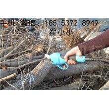 全自動修枝剪，高效又省力