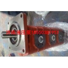 山東地區(qū)佳木斯掘進(jìn)機(jī)JHP2080 JHP2100齒輪泵廠家價(jià)格